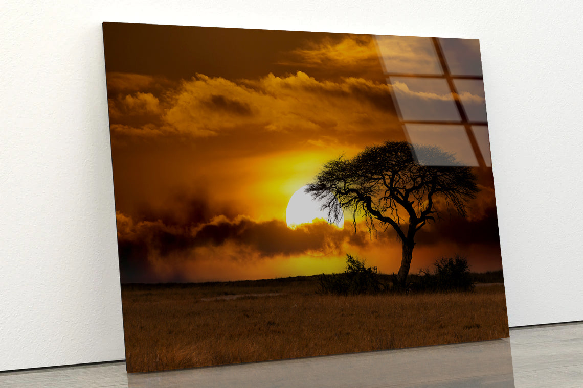 Sunset in Africa Over Acacia Tree Acrylic Glass Print Tempered Glass Wall Art 100% Made in Australia Ready to Hang - Bella Home Decor