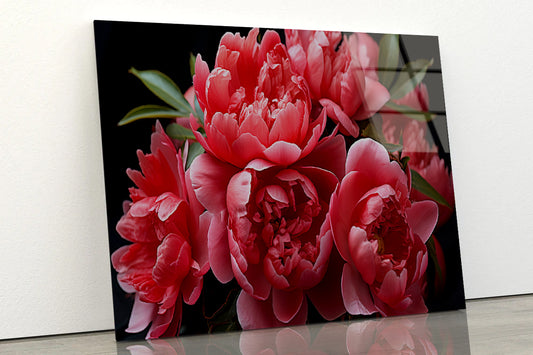 Group of Garden Roses with Leaves Acrylic Glass Print Tempered Glass Wall Art 100% Made in Australia Ready to Hang - Bella Home Decor