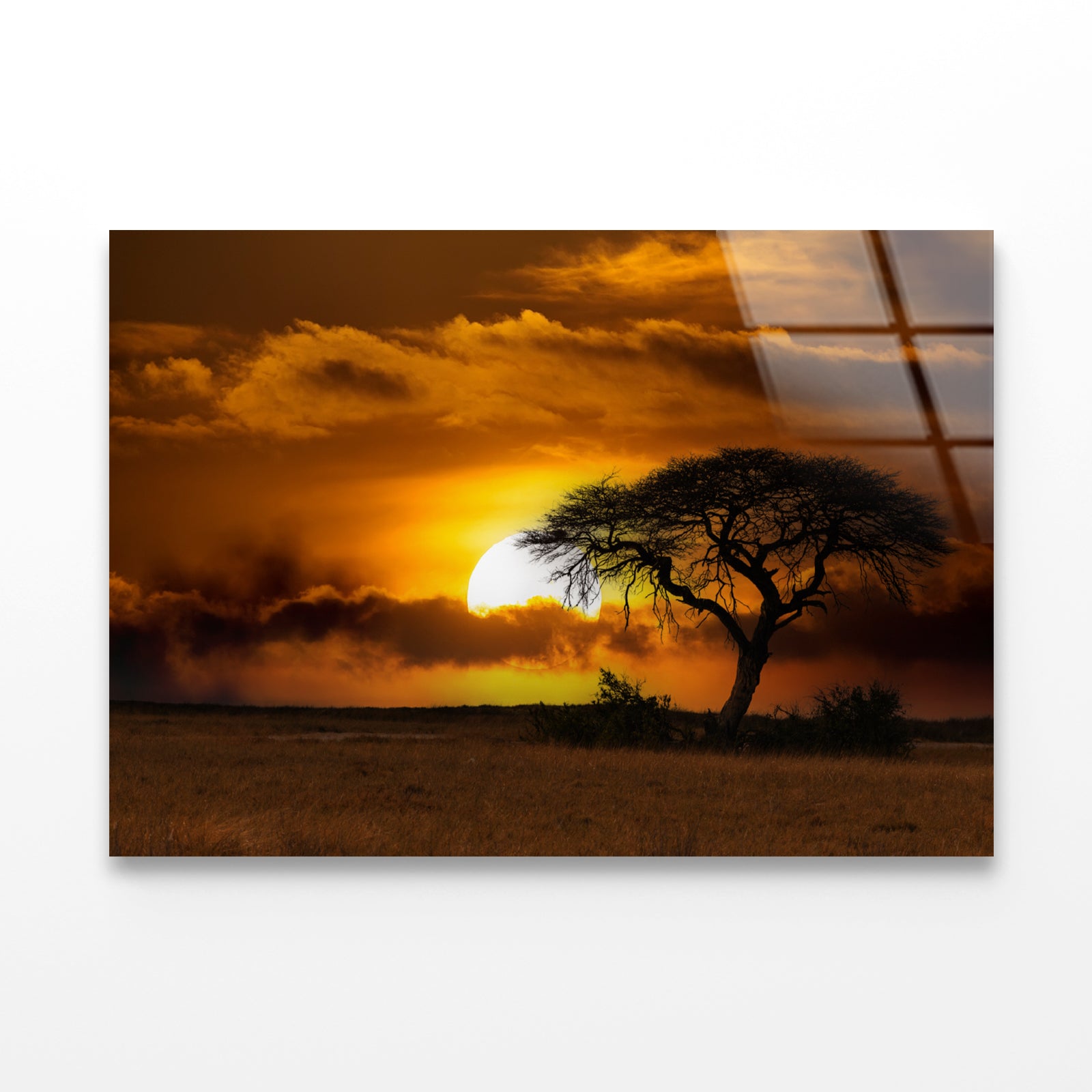 Sunset in Africa Over Acacia Tree Acrylic Glass Print Tempered Glass Wall Art 100% Made in Australia Ready to Hang - Bella Home Decor