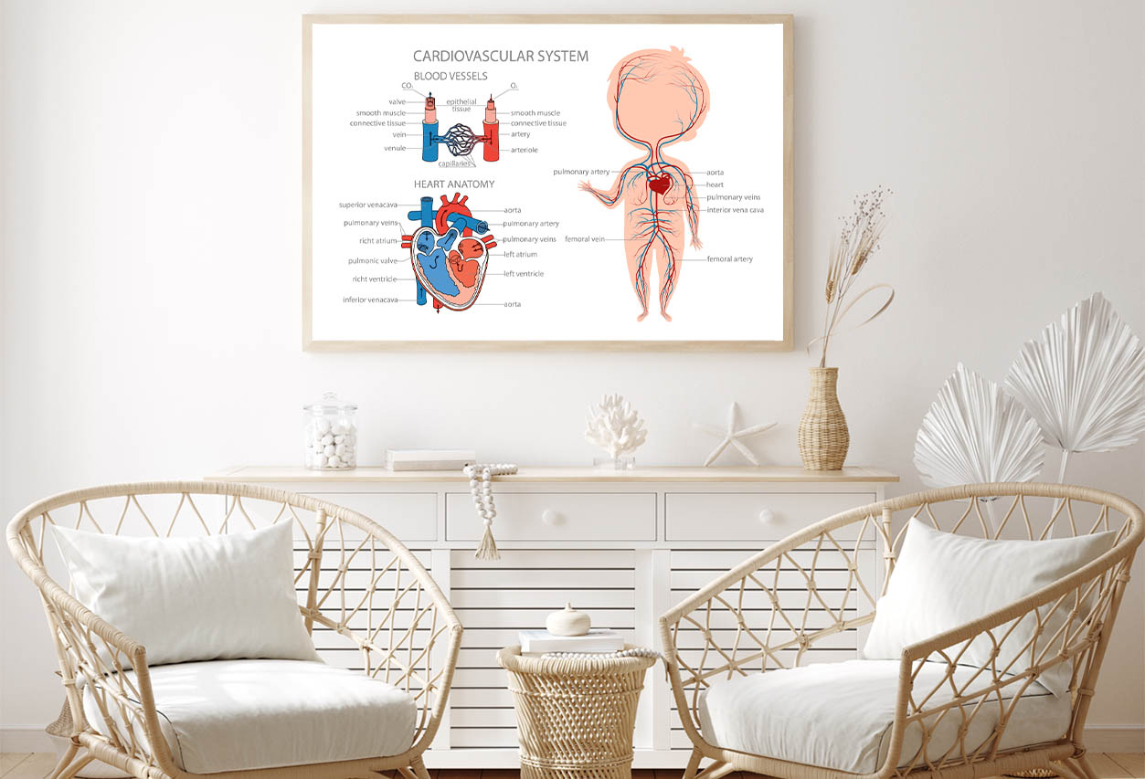 Blood Circulatory System in Kid Body Home Decor Premium Quality Poster Print Choose Your Sizes