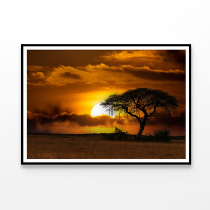 Sunset in Africa Over Acacia Tree Home Decor Premium Quality Poster Print Choose Your Sizes - Bella Home Decor