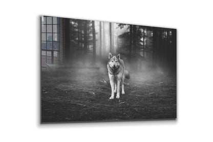 Wolf in Forest B&W UV Direct Aluminum Print Australian Made Quality