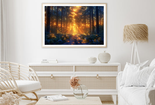 Forest with the Bright Sun Shining Home Decor Premium Quality Poster Print Choose Your Sizes