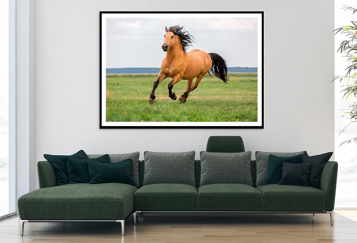 Horse Running in A Field with A Sky Background Home Decor Premium Quality Poster Print Choose Your Sizes - Bella Home Decor