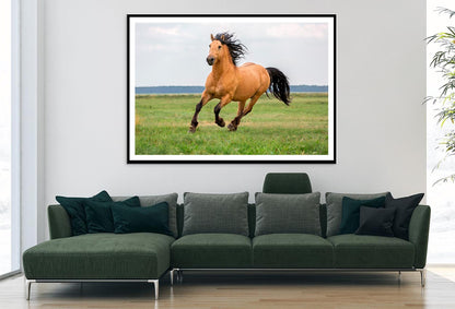 Horse Running in A Field with A Sky Background Home Decor Premium Quality Poster Print Choose Your Sizes - Bella Home Decor