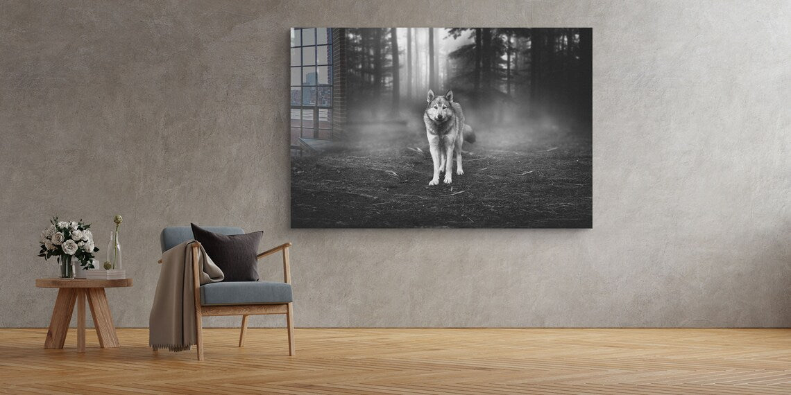 Wolf in Forest B&W UV Direct Aluminum Print Australian Made Quality