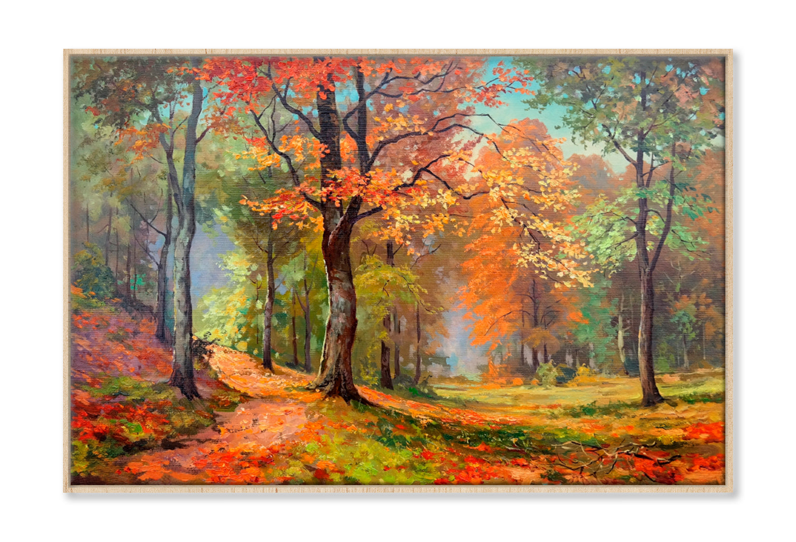 Trees With Colorful Foliage In Sun Oil Painting Wall Art Limited Edition High Quality Print Canvas Box Framed Natural