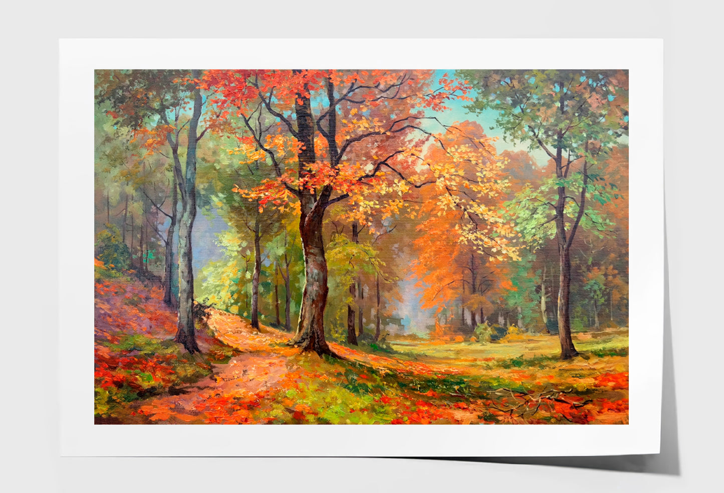 Trees With Colorful Foliage In Sun Oil Painting Wall Art Limited Edition High Quality Print Unframed Roll Canvas None