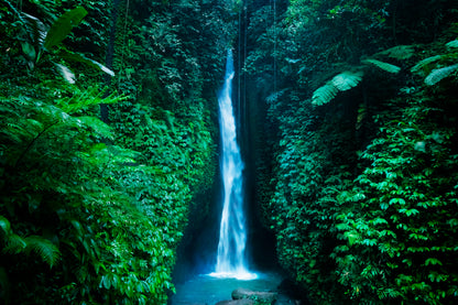 Leke Waterfall Near Ubud in Bali, Home Decor Premium Quality Poster Print Choose Your Sizes