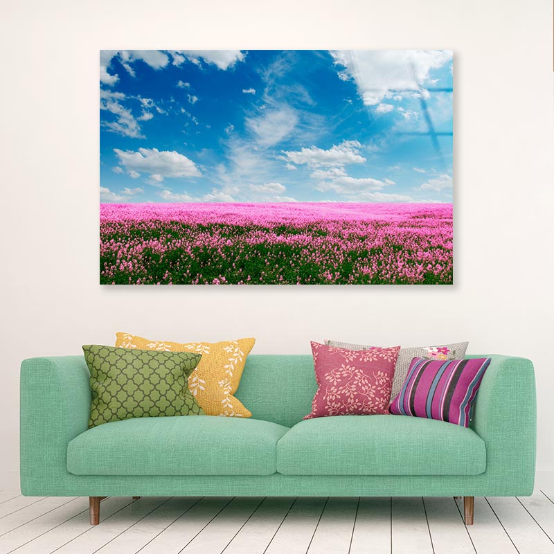 Spring Pink Flower Field Acrylic Glass Print Tempered Glass Wall Art 100% Made in Australia Ready to Hang