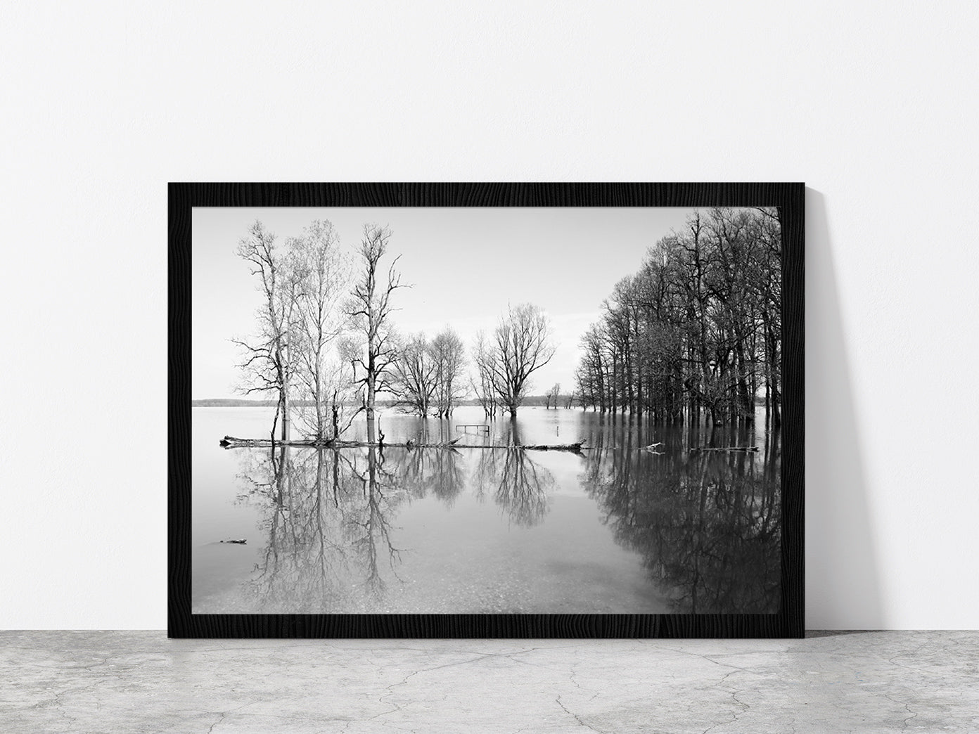 B&W Landscape Flood In Forest Glass Framed Wall Art, Ready to Hang Quality Print Without White Border Black