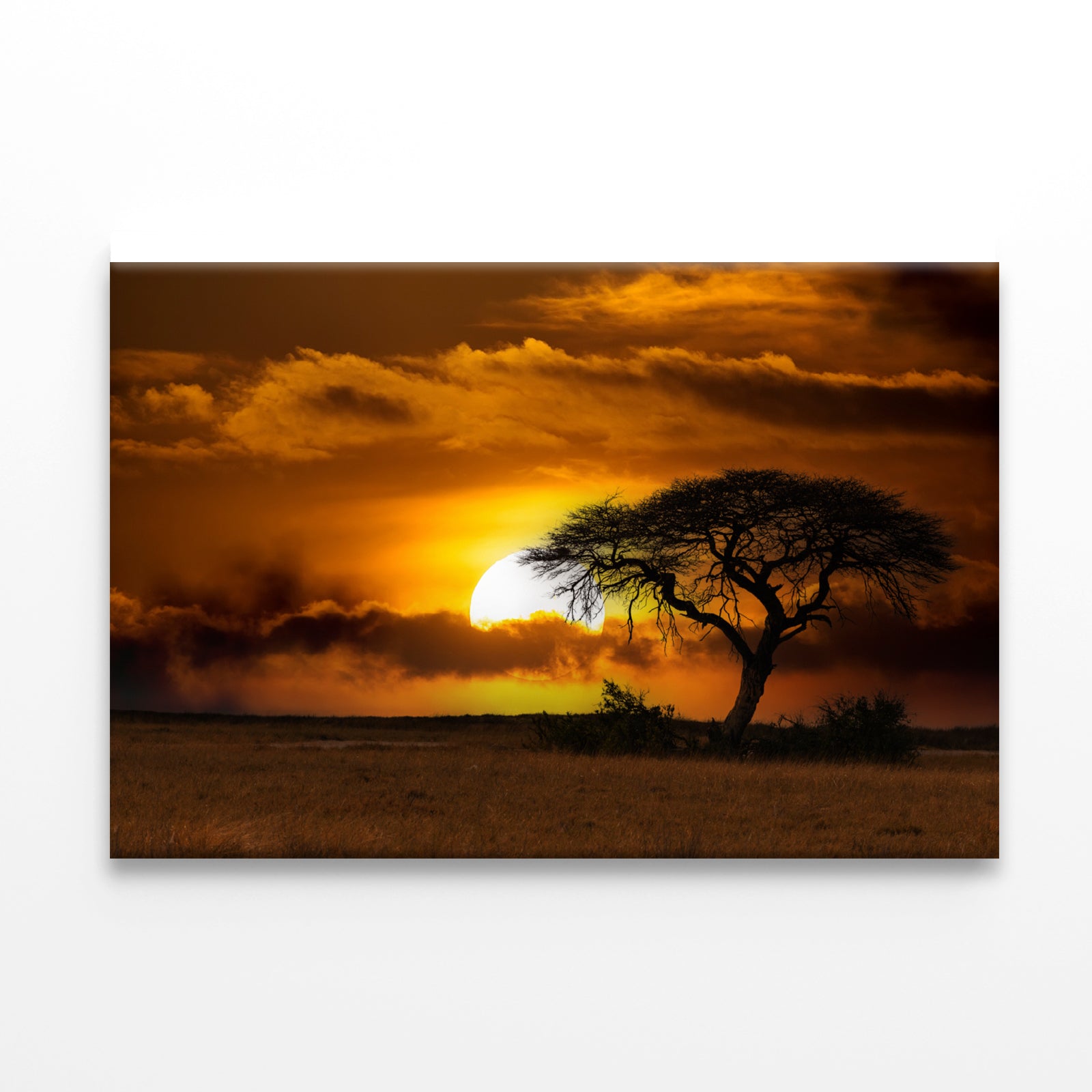 Sunset in Africa Over Acacia Tree Print 100% Australian Made - Bella Home Decor