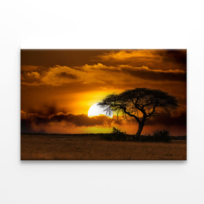 Sunset in Africa Over Acacia Tree Print 100% Australian Made - Bella Home Decor