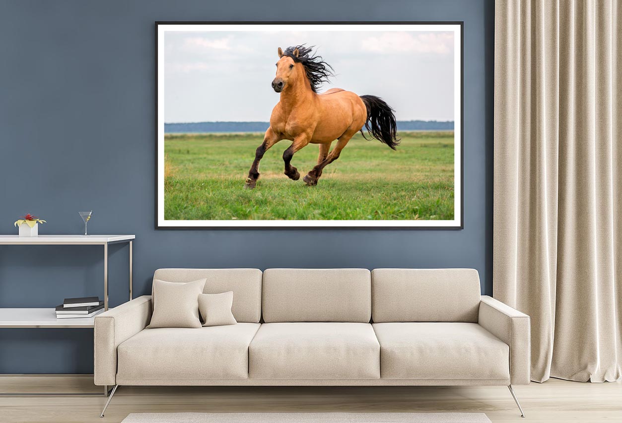 Horse Running in A Field with A Sky Background Home Decor Premium Quality Poster Print Choose Your Sizes - Bella Home Decor