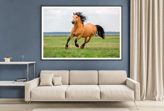 Horse Running in A Field with A Sky Background Home Decor Premium Quality Poster Print Choose Your Sizes