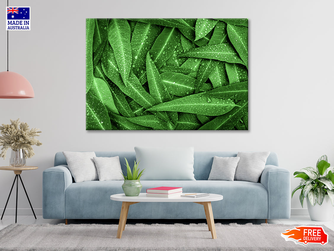Water Droplets on Bunch of Leaves Print 100% Australian Made - Bella Home Decor