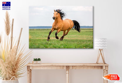 Horse Running in A Field with A Sky Background Wall Art Decor 100% Australian Made - Bella Home Decor