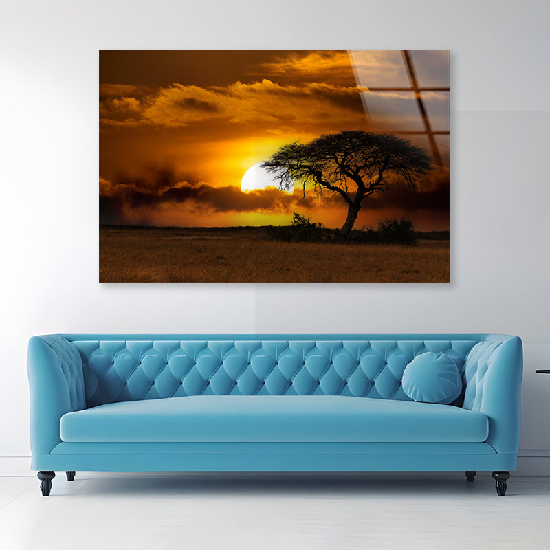 Sunset in Africa Over Acacia Tree Acrylic Glass Print Tempered Glass Wall Art 100% Made in Australia Ready to Hang - Bella Home Decor