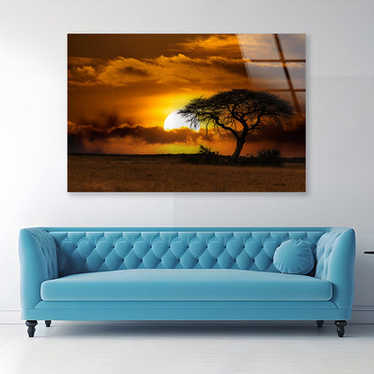 Sunset in Africa Over Acacia Tree Acrylic Glass Print Tempered Glass Wall Art 100% Made in Australia Ready to Hang - Bella Home Decor