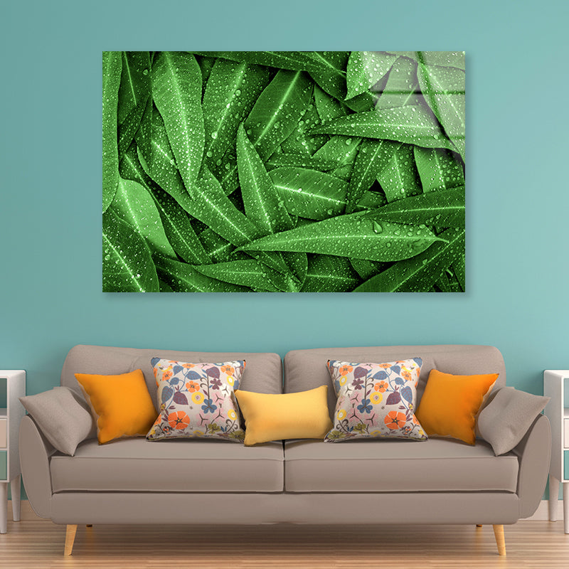 Water Droplets on Bunch of Leaves Acrylic Glass Print Tempered Glass Wall Art 100% Made in Australia Ready to Hang - Bella Home Decor