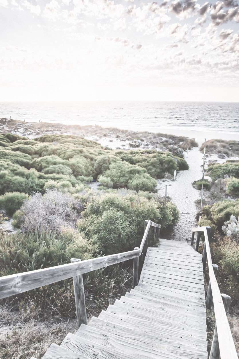 Wooden Path & Sea Dunes Beach Photograph Glass Framed Wall Art, Ready to Hang Quality Print