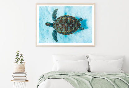 Green Sea Turtle Swimming Home Decor Premium Quality Poster Print Choose Your Sizes