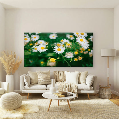 White Daisies In Green Field Wall Art Canvas Office Home Room Framed 120x60cm