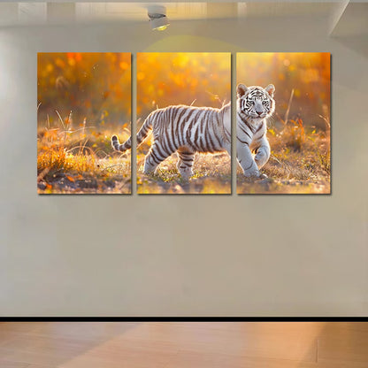 3pcs Charming White Tiger Cub Wall Art Set Canvas Framed 50x70cm - High Quality Print 100% Australian Made Wall Canvas Ready to Hang