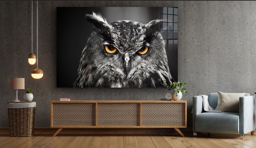 Yellow Eyes Owl B&W UV Direct Aluminum Print Australian Made Quality