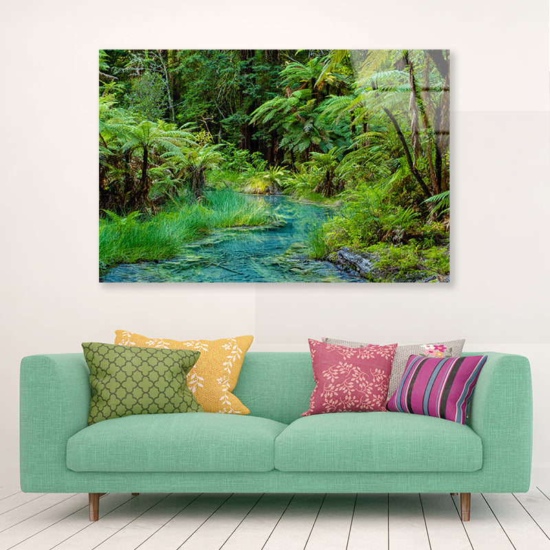 River in Whakarewarewa Forest Acrylic Glass Print Tempered Glass Wall Art 100% Made in Australia Ready to Hang - Bella Home Decor