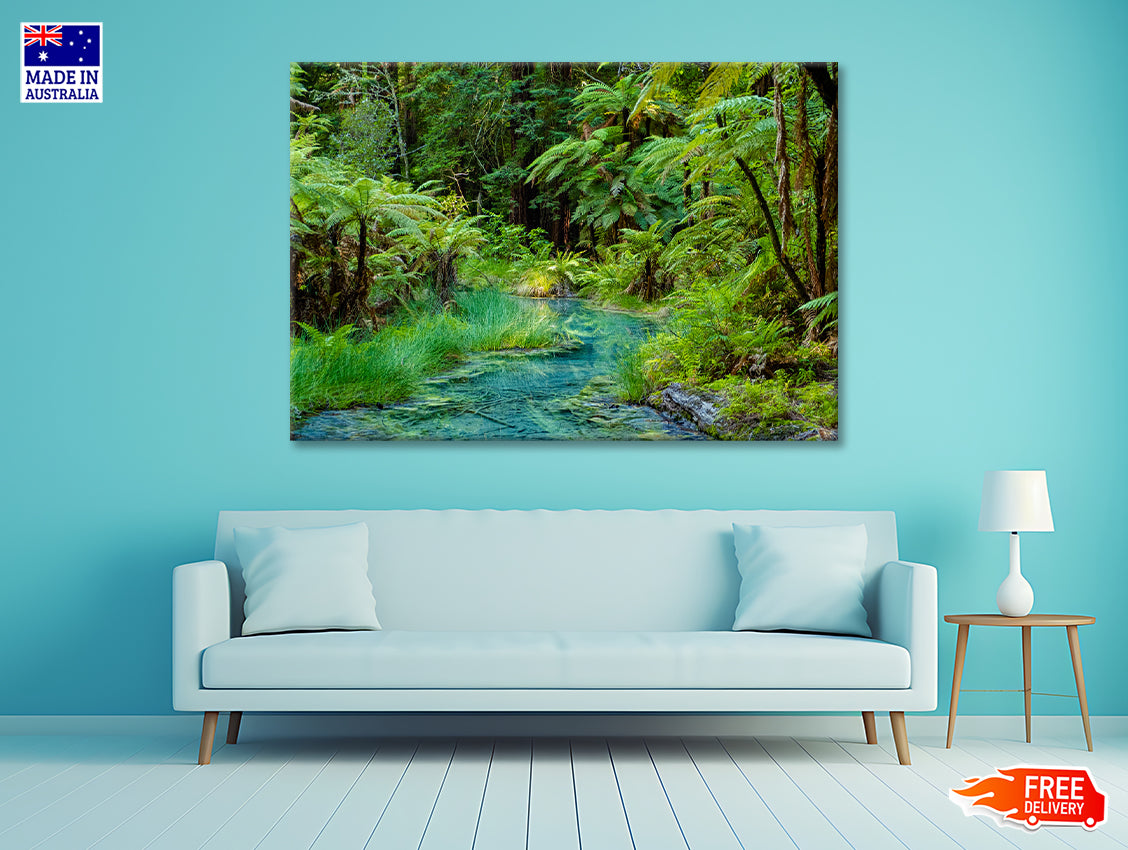 River in Whakarewarewa Forest Print 100% Australian Made - Bella Home Decor
