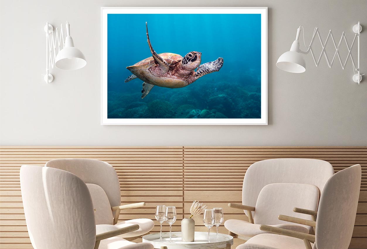 Turtle Swimming in The Ocean Home Decor Premium Quality Poster Print Choose Your Sizes