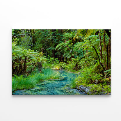 River in Whakarewarewa Forest Print 100% Australian Made - Bella Home Decor