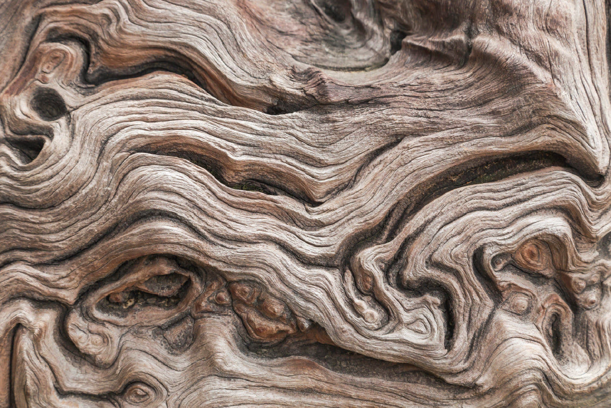 Textured Dead Natural Wood Art Print 100% Australian Made - Bella Home Decor