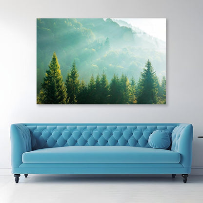 Wonderful Nature Background with Sunlight Acrylic Glass Print Tempered Glass Wall Art 100% Made in Australia Ready to Hang