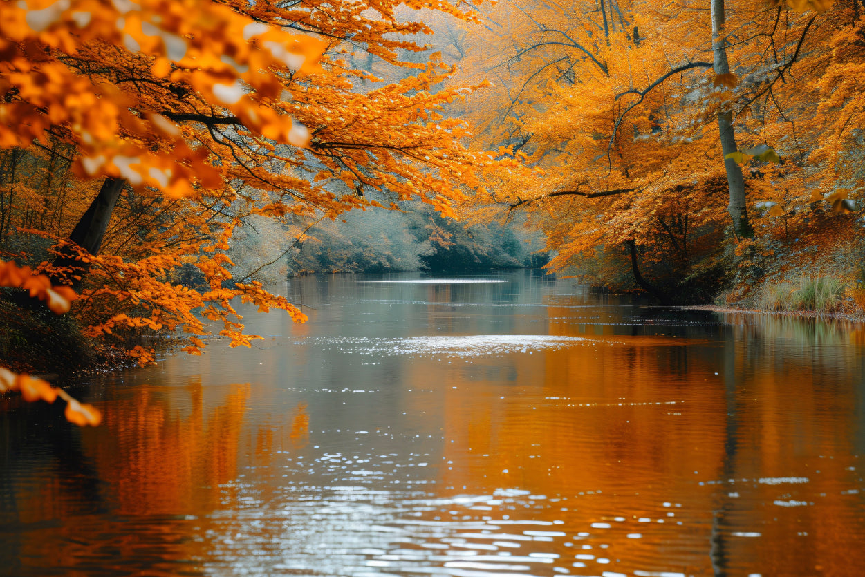 View of River Surrounded By Trees Print 100% Australian Made - Bella Home Decor