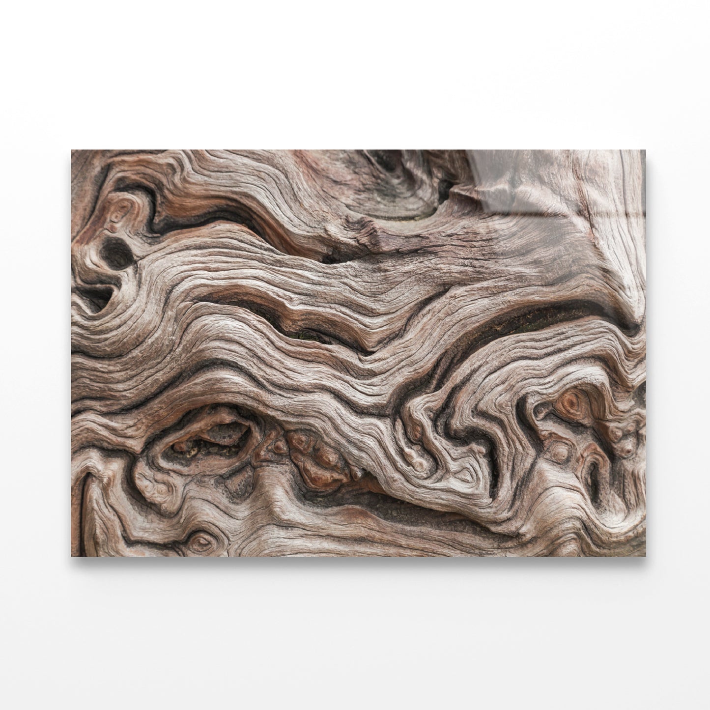 Textured Dead Natural Wood Art Acrylic Glass Print Tempered Glass Wall Art 100% Made in Australia Ready to Hang