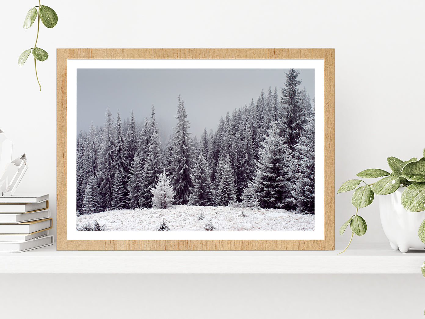 Trees Covered With Fresh Snow Glass Framed Wall Art, Ready to Hang Quality Print With White Border Oak