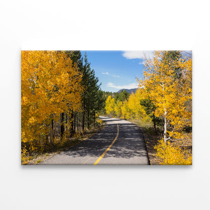 Yellow Aspens Trees in Colorado Print 100% Australian Made