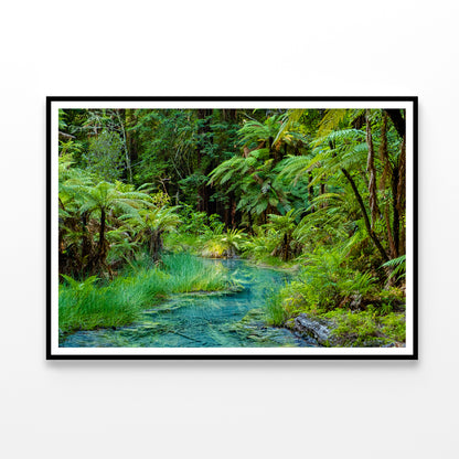 River in Whakarewarewa Forest Home Decor Premium Quality Poster Print Choose Your Sizes - Bella Home Decor