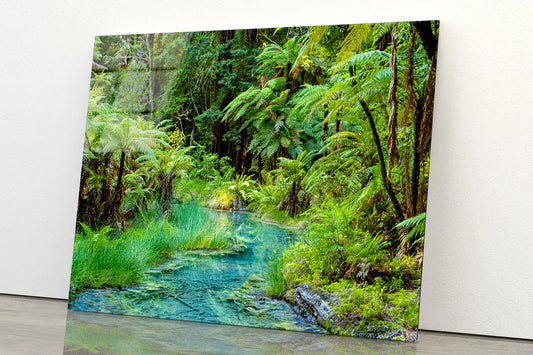 River in Whakarewarewa Forest Acrylic Glass Print Tempered Glass Wall Art 100% Made in Australia Ready to Hang - Bella Home Decor
