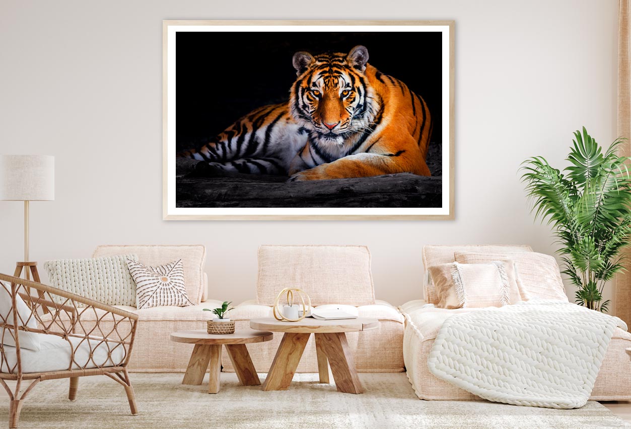 Closeup Of Siberian Tiger  Home Decor Premium Quality Poster Print Choose Your Sizes