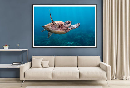 Turtle Swimming in The Ocean Home Decor Premium Quality Poster Print Choose Your Sizes