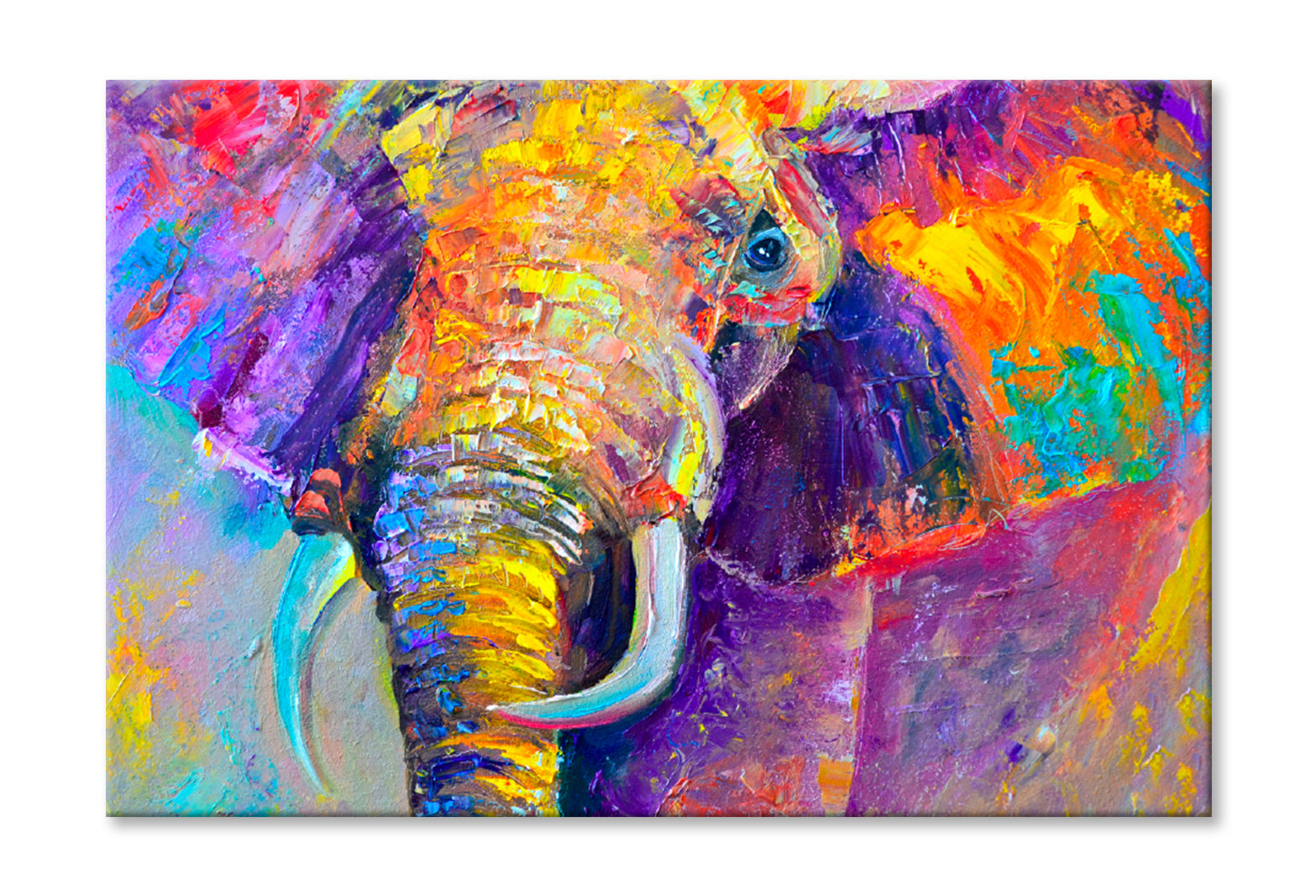 Colorful Elephant Painting Limited Edition High Quality Print Stretched Canvas None