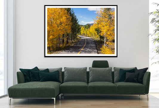 Yellow Aspens Trees in Colorado Home Decor Premium Quality Poster Print Choose Your Sizes