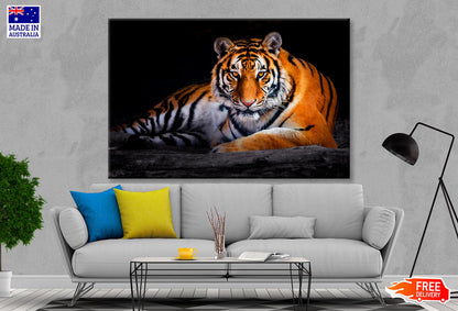 Closeup Of Siberian Tiger   Wall Art Decor 100% Australian Made