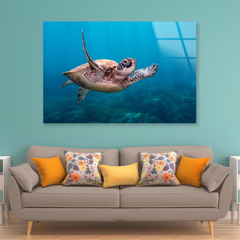 Turtle Swimming in The Ocean Acrylic Glass Print Tempered Glass Wall Art 100% Made in Australia Ready to Hang