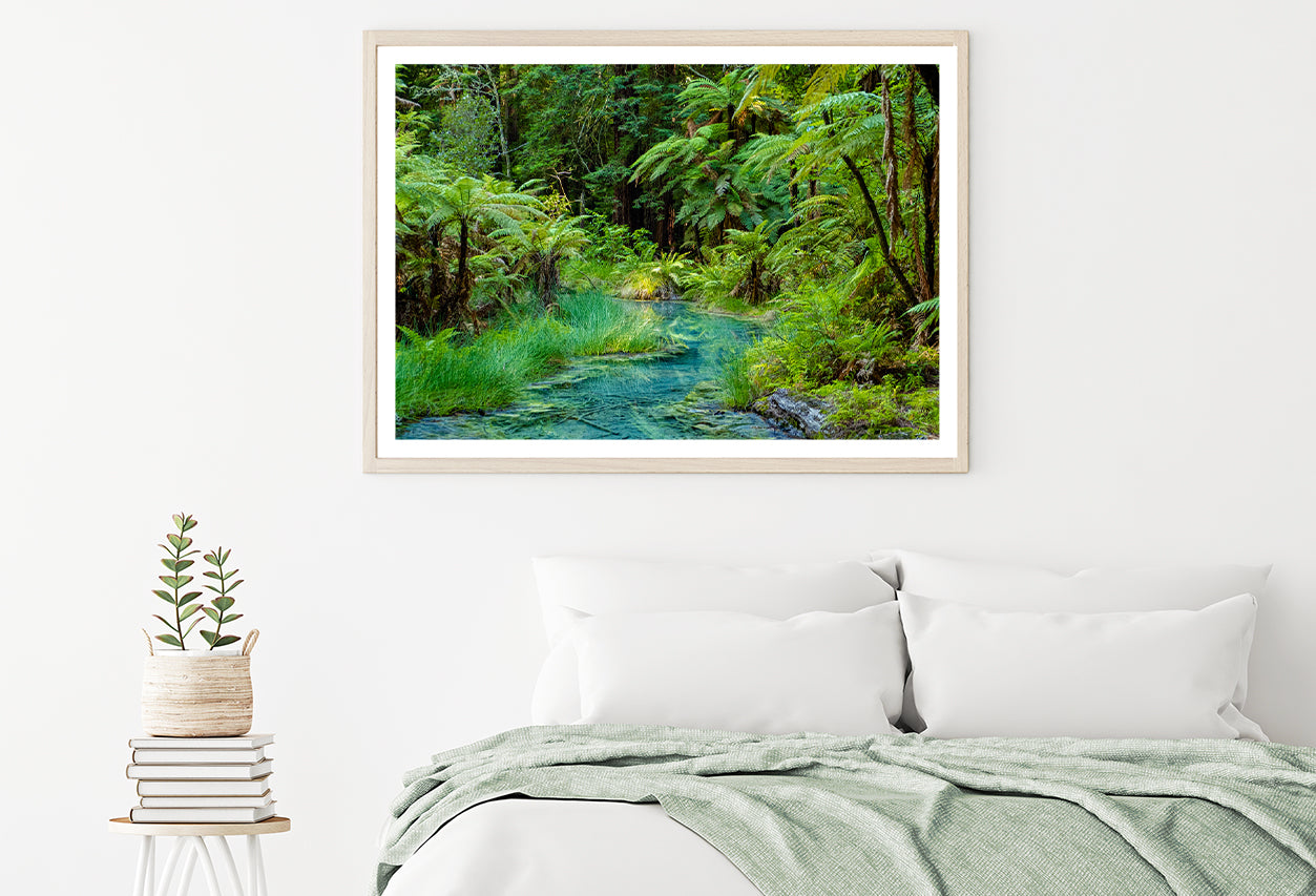 River in Whakarewarewa Forest Home Decor Premium Quality Poster Print Choose Your Sizes - Bella Home Decor