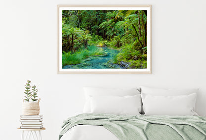 River in Whakarewarewa Forest Home Decor Premium Quality Poster Print Choose Your Sizes - Bella Home Decor