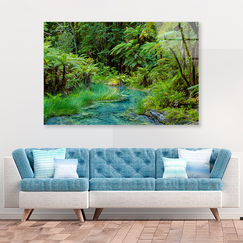 River in Whakarewarewa Forest Acrylic Glass Print Tempered Glass Wall Art 100% Made in Australia Ready to Hang - Bella Home Decor